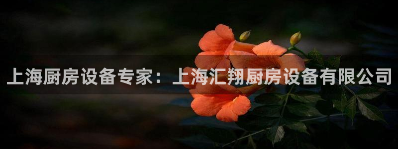 尊龙t300和t400哪个好：上海厨房设备专家：上海汇翔厨房