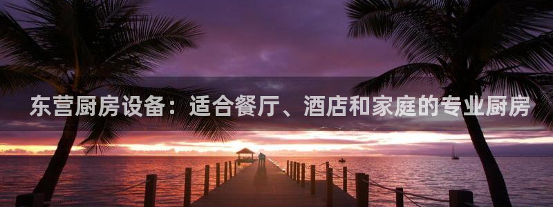 尊龙凯时 - 人生就是搏有假吗： 东营厨房设备：适合餐厅、酒