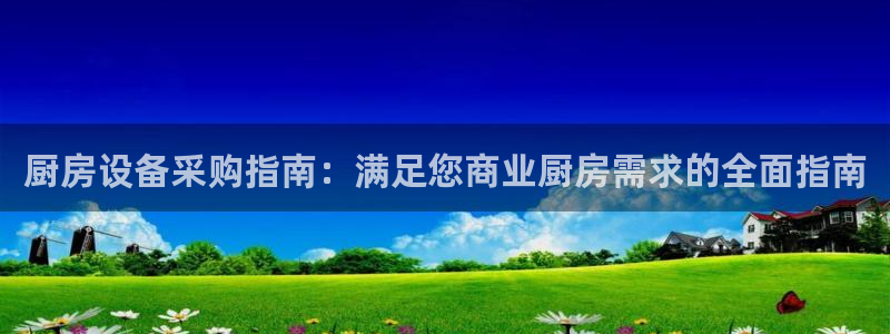 尊龙官网入口：厨房设备采购指南：满足您商业厨房需求的全面指南