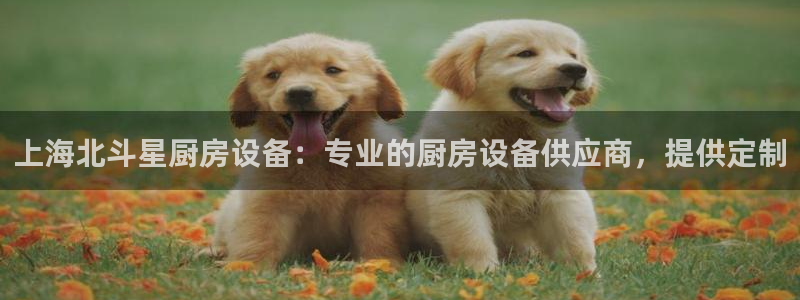 尊龙官网在哪里：上海北斗星厨房设备：专业的厨房设备供应商，提