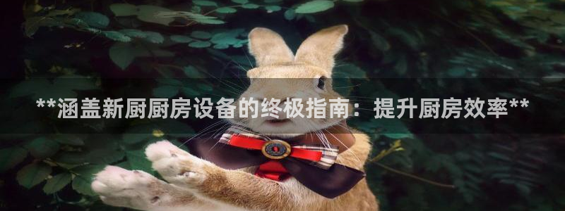 尊龙凯时有限公司：**涵盖新厨厨房设备的终极指南：提升厨房效