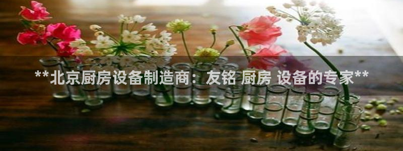尊龙ag旗舰厅下载：**北京厨房设备制造商：友铭 厨房 设备