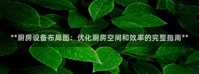 尊龙凯时平台不给出款怎么办：**厨房设备布局图：优化厨房空间