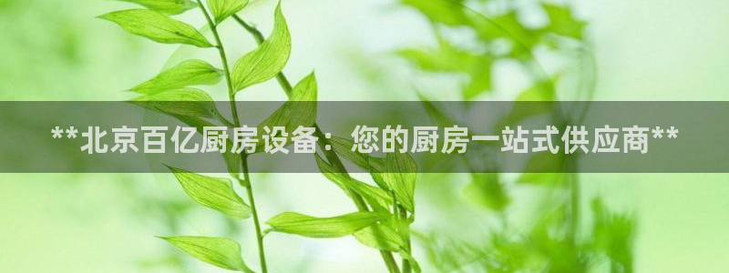 Z6尊龙凯时登录：**北京百亿厨房设备：您的厨房一站式供应商