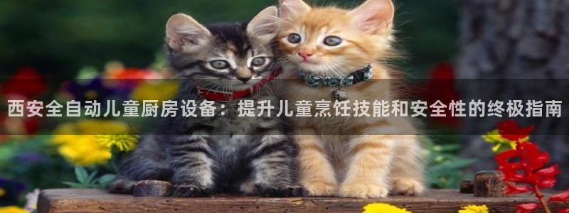 尊龙d88官网登录下载：西安全自动儿童厨房设备：提升儿童烹饪