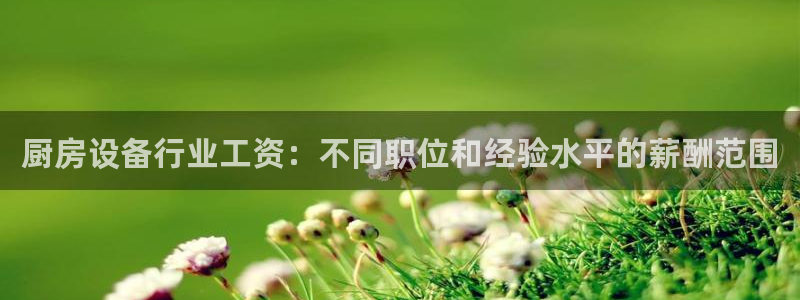 z6尊龙凯时旗舰厅首页：厨房设备行业工资：不同职位和经验水平