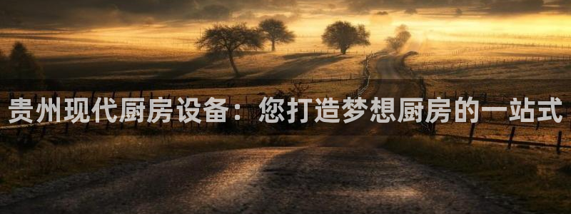 尊龙凯时提不了款：贵州现代厨房设备：您打造梦想厨房的一站式