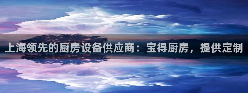 尊龙官网免费下载安卓：上海领先的厨房设备供应商：宝得厨房，提