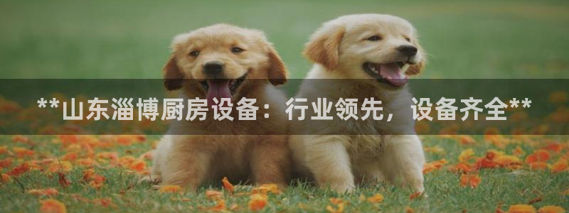 尊龙凯时平台怎么样：**山东淄博厨房设备：行业领先，设备齐全