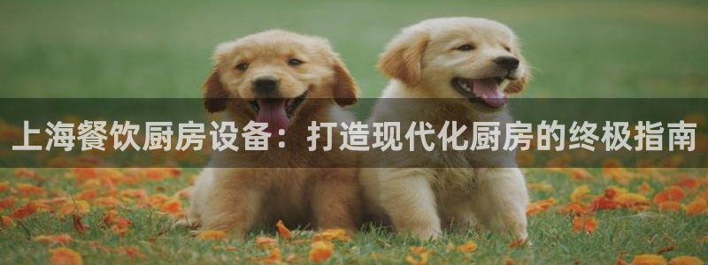尊龙凯时代理能提出来不：上海餐饮厨房设备：打造现代化厨房的终