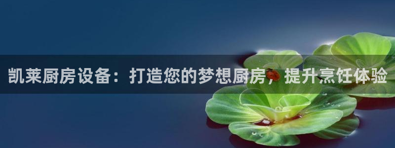 尊龙网站注册站注册：凯莱厨房设备：打造您的梦想厨房，提升烹饪
