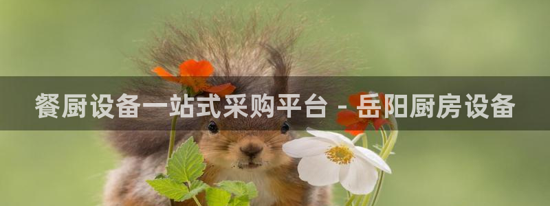 尊龙人生就是博一下阿扎尔：餐厨设备一站式采购平台 - 岳阳厨