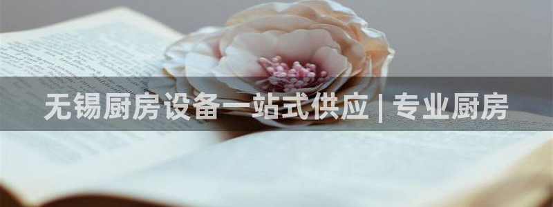 尊龙人生就是博送38：无锡厨房设备一站式供应 | 专业厨房