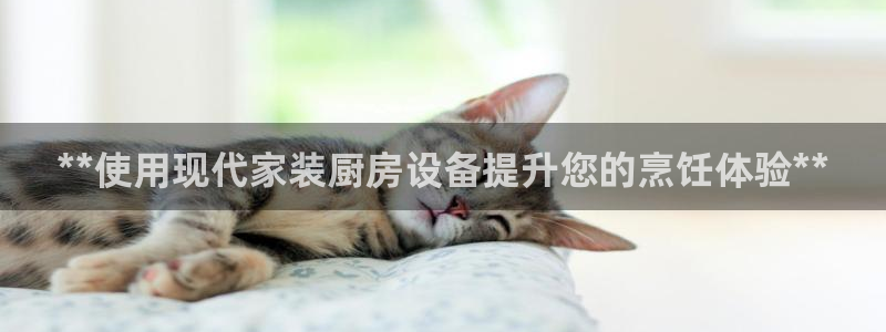 尊龙凯时总部在哪里：**使用现代家装厨房设备提升您的烹饪体验