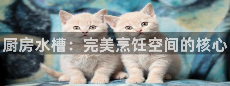 尊龙官网手机版：厨房水槽：完美烹饪空间的核心