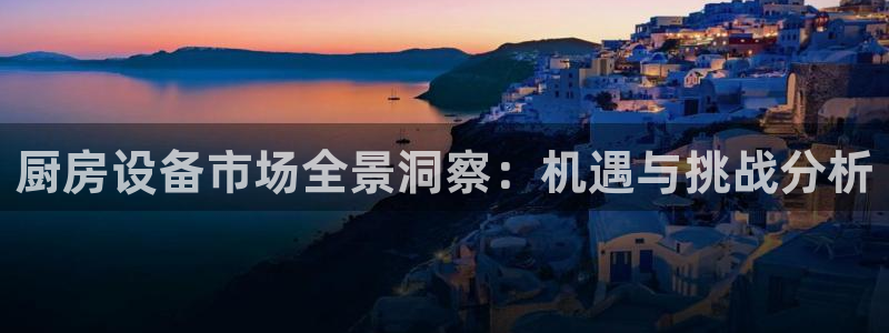 尊龙会：厨房设备市场全景洞察：机遇与挑战分析