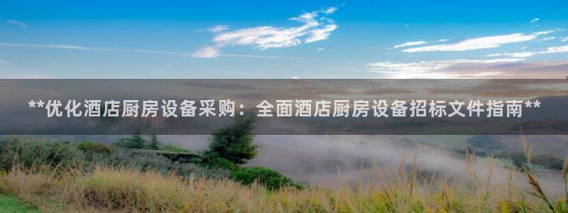 尊龙饰演过的经典角色：**优化酒店厨房设备采购：全面酒店厨房