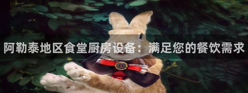 尊龙目前情况：阿勒泰地区食堂厨房设备：满足您的餐饮需求