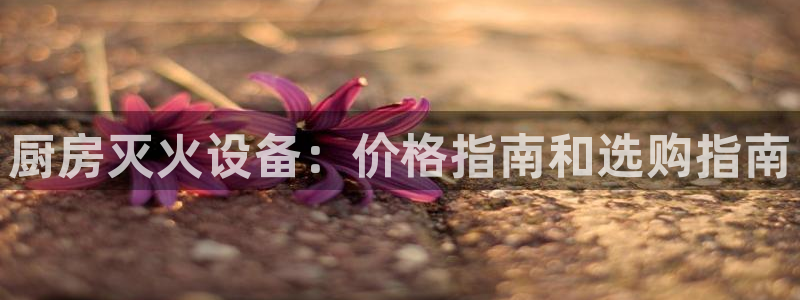 尊龙ktv怎么样：厨房灭火设备：价格指南和选购指南