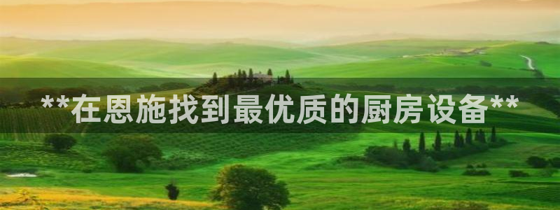 z6尊龙z6：**在恩施找到最优质的厨房设备**