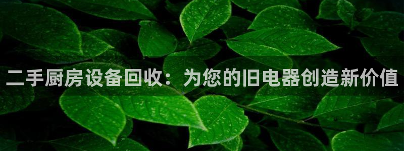 尊龙凯时老板：二手厨房设备回收：为您的旧电器创造新价值