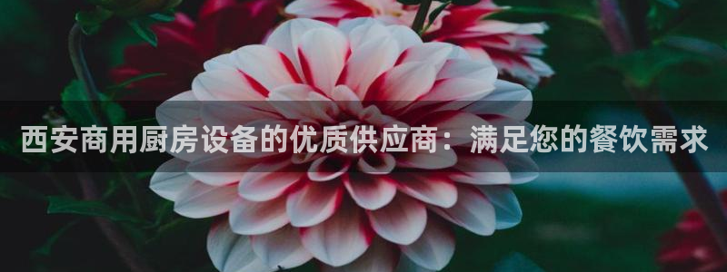 尊龙凯时ag旗舰厅登陆：