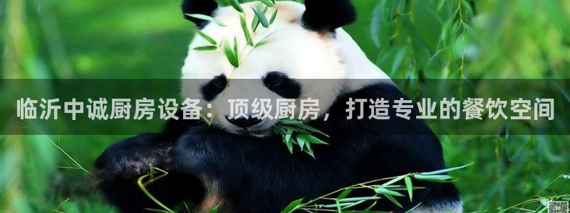 尊龙d88平台版下载：临沂中诚厨房设备：顶级厨房，打造专业的