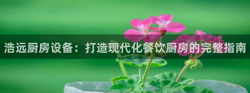 尊龙凯时平台有没有不到账的：浩远厨房设备：打造现代化餐饮厨房