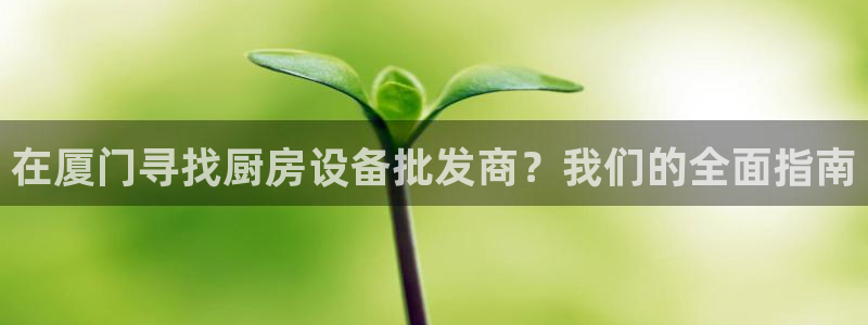 尊龙会：在厦门寻找厨房设备批发商？我们的全面指南