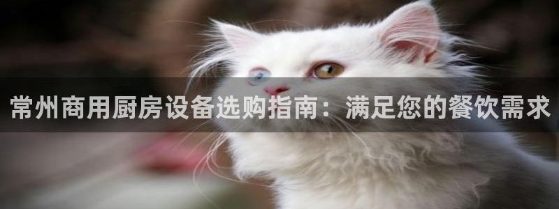 凯时国际app首页：常州商用厨房设备选购指南：满足您的餐饮需