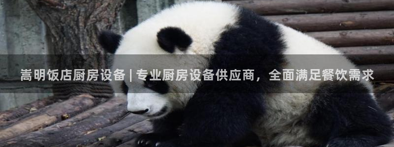 怎样能成为尊龙凯时平台的会员：嵩明饭店厨房设备 | 专业厨房