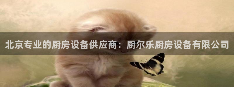 z6尊龙凯时官方：北京专业的厨房设备供应商：厨尔乐厨房设备有