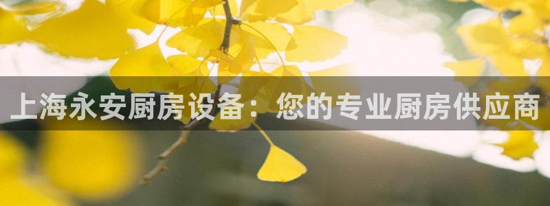 最新凯时官网网址：上海永安厨房设备：您的专业厨房供应商