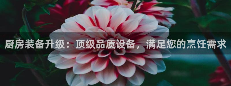 尊龙电子：厨房装备升级：顶级品质设备，满足您的烹饪需求