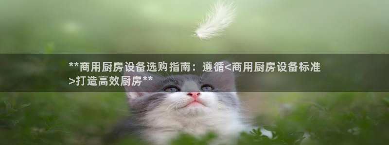 尊龙手机端下载：**商用