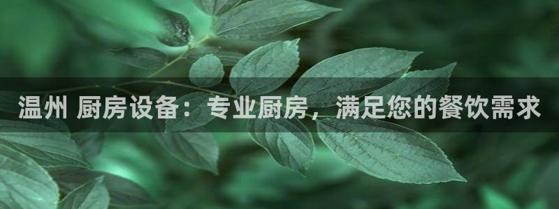 凯时a88：温州 厨房设备：专业厨房，满足您的餐饮需求