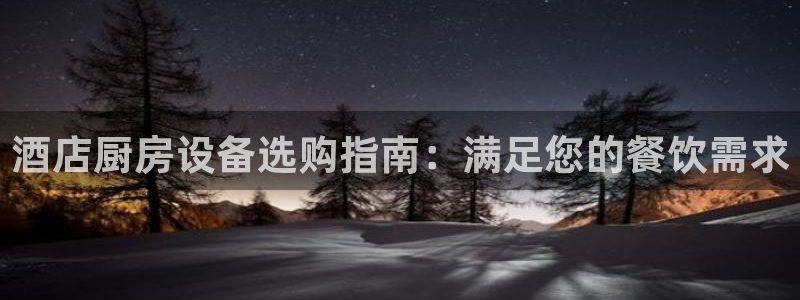 尊龙人生就是博：酒店厨房设备选购指南：满足您的餐饮需求