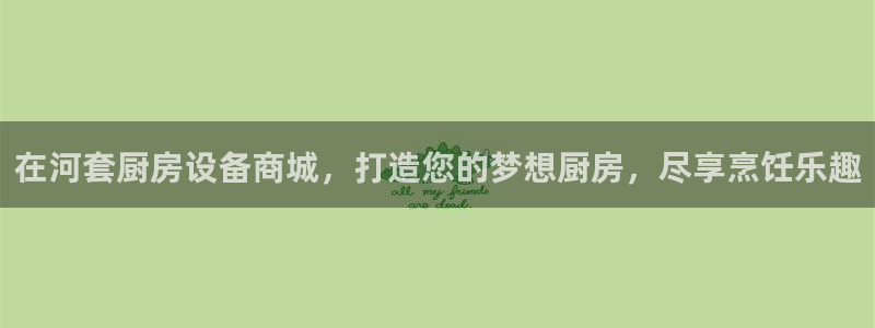 尊龙长相评价：在河套厨房设备商城，打造您的梦想厨房，尽享烹饪