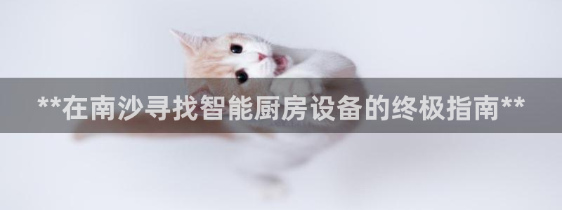 尊龙凯时公司官网：**在南沙寻找智能厨房设备的终极指南**