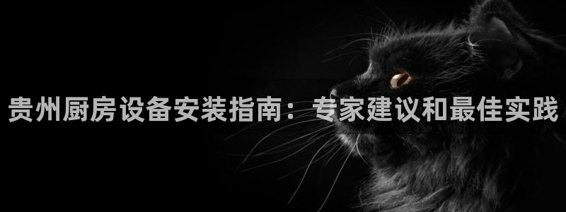 尊龙凯时的钱能退回来吗：贵州厨房设备安装指南：专家建议和最佳