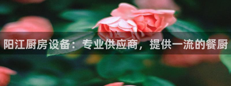 尊龙凯时请求参数不符合