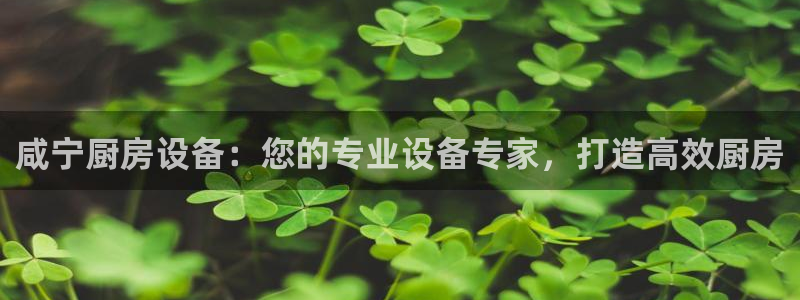 尊龙app注册官网：咸宁厨房设备：您的专业设备专家，打造高效