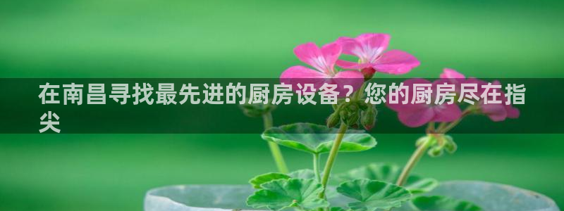 尊龙网站登录：在南昌寻找最先进的厨房设备？您的厨房尽在指
尖
