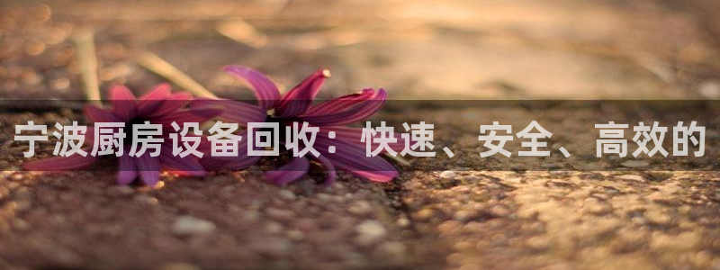 尊龙网站下分慢：宁波厨房