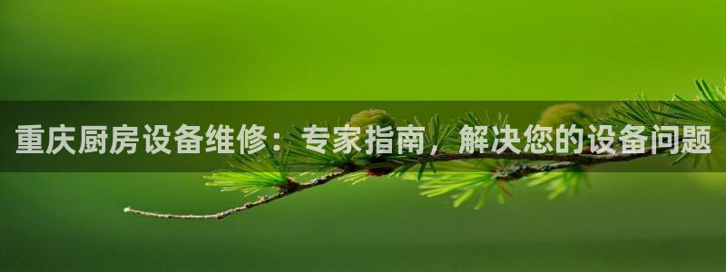 尊龙现金d88：重庆厨房设备维修：专家指南，解决您的设备问题