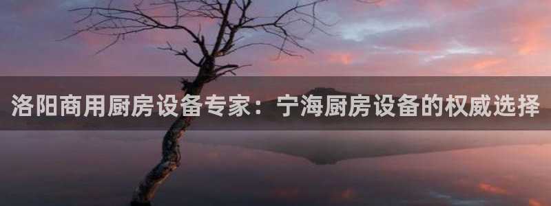 凯时登录界面：洛阳商用厨房设备专家：宁海厨房设备的权威选择
