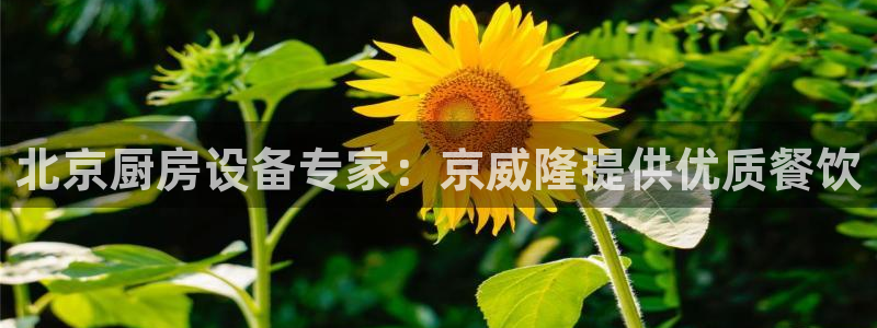 尊龙 ag：北京厨房设备专家：京威隆提供优质餐饮