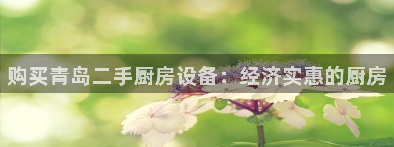 ag尊龙凯时官网：购买青岛二手厨房设备：经济实惠的厨房