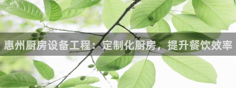 尊龙凯时人生就是搏首页：惠州厨房设备工程