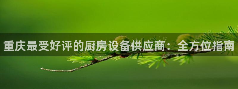 尊龙凯时官方网站下载：重庆最受好评的厨房设备供应商：全方位指